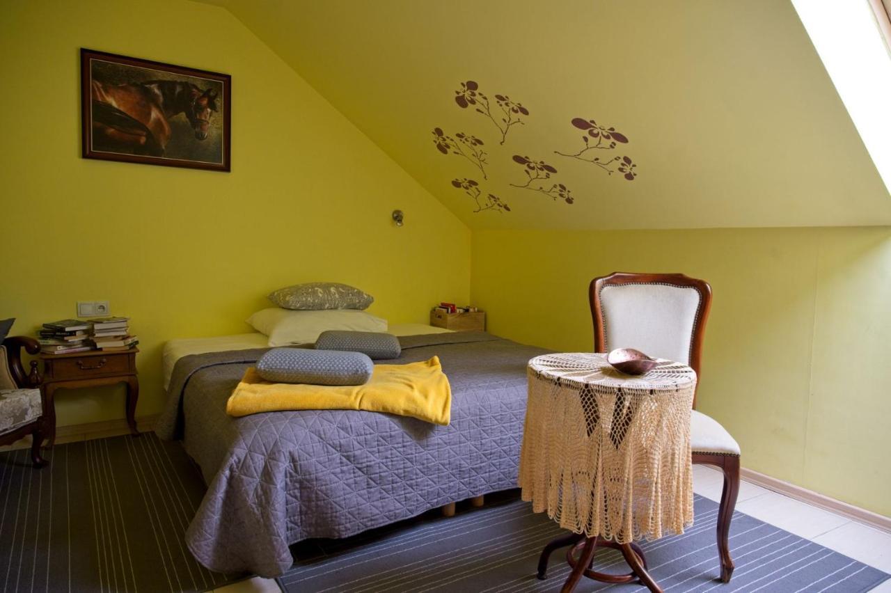 Medison Family Boutique B&B Kielce Bagian luar foto